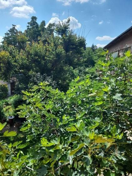 Apartament 2 camere, la curte comuna, Str. Luis Pasteur - 20