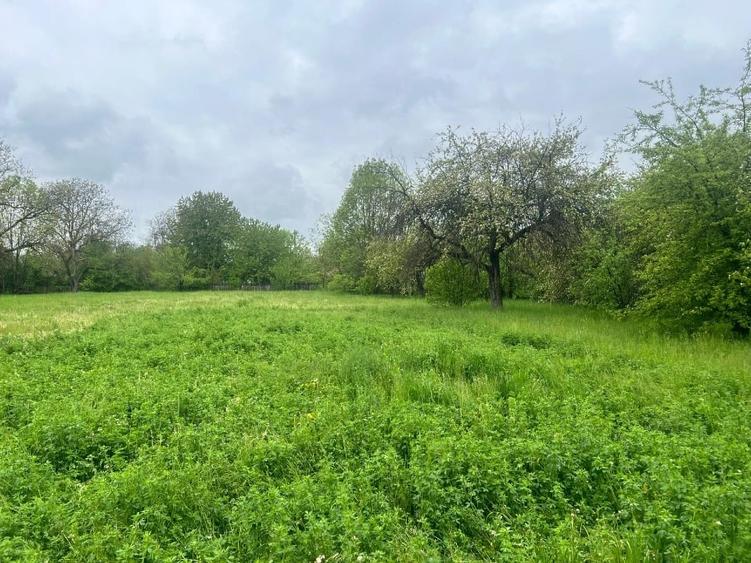 Teren de vânzare – Comuna Brebu, zonă centrală – 2700 mp - 5