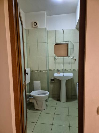 Drumul Taberei, Brancusi - 5