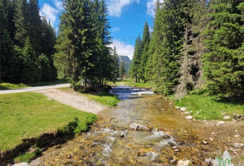 Teren intravilan de in Dambovita / Padina/ Muntii Bucegi - 8
