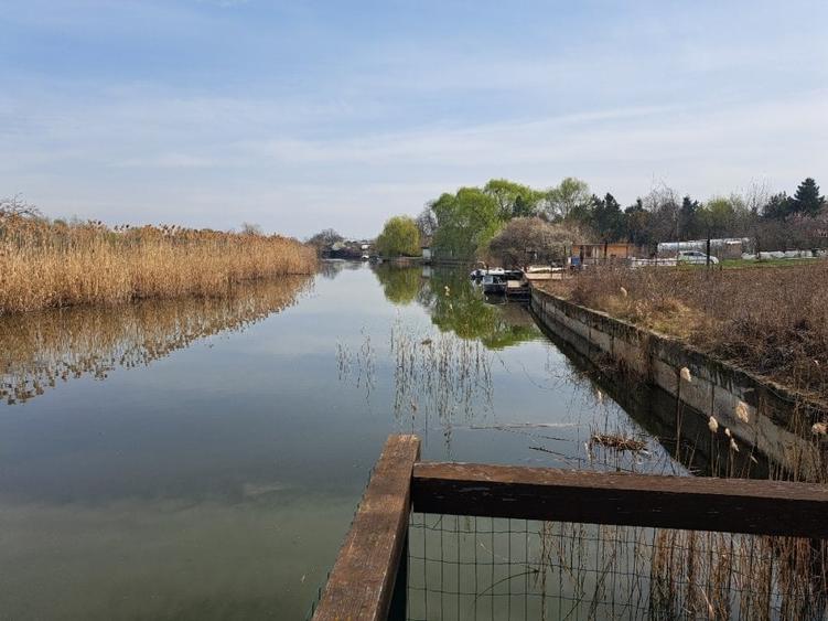 Snagov, vila de inchiriat/vanzare deschidere lac, piscina, 5 camere, garaj - 1