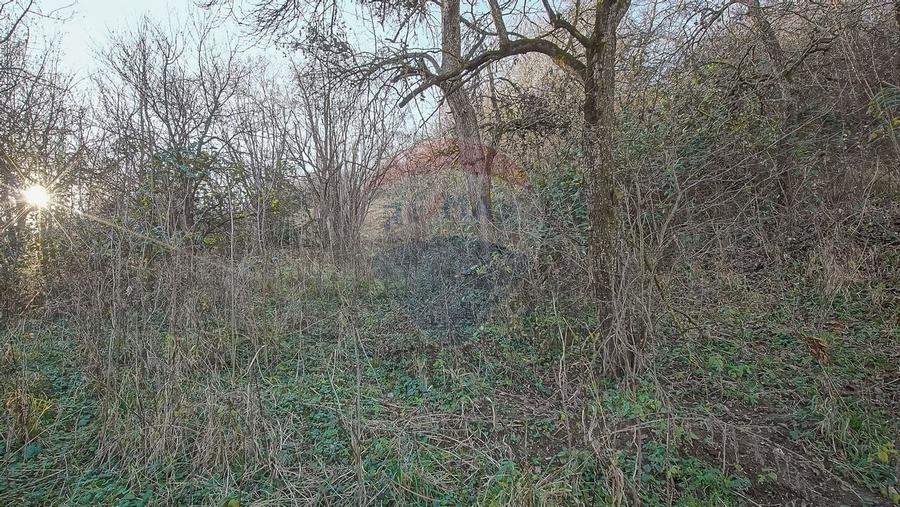 Comision 0! Casă  cu teren de 1000mp in inima Brasovului - 16