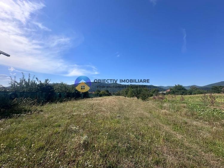 Teren intravilan de vanzare – 1.688 mp, Dumbrava Rosie - 4