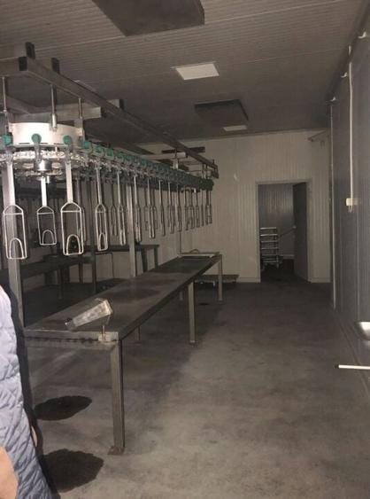 Abator pasari - Nadlac, Arad - 2