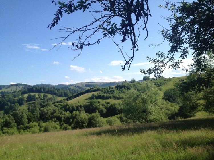 Teren agricol extravilan de 36000 mp, în Tilișca