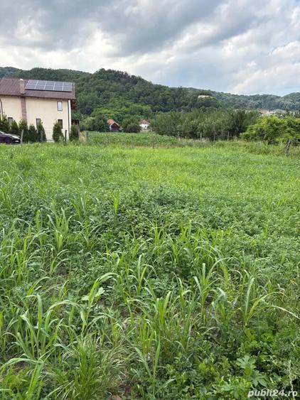 Teren Copacelu, 450mp - 2