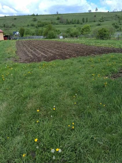 Casa de vanzare - municipiul Toplita, Judet Harghita - 7