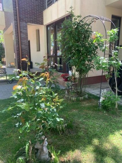 Vila superba, direct de la proprietar - 10