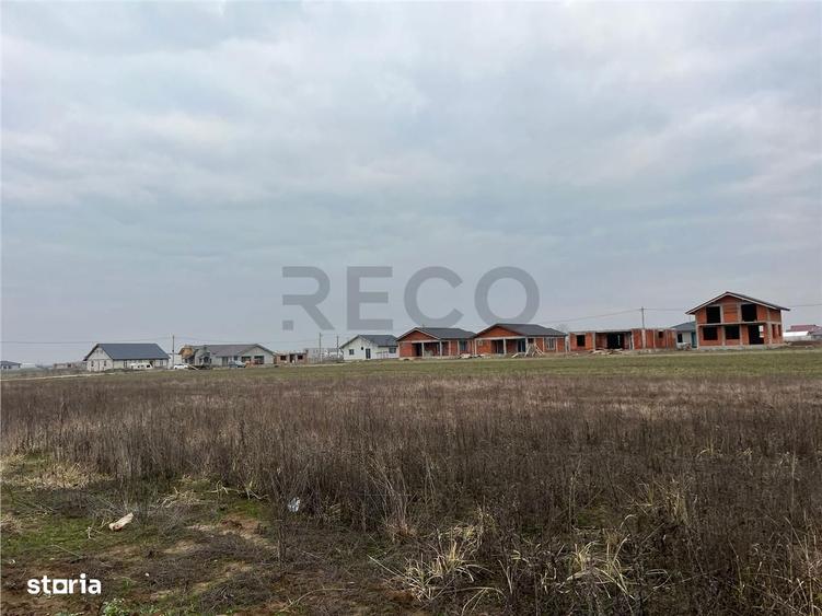 RECO Teren intravilan mixt -loc de casa sau servicii 500 mp Cihei - 2