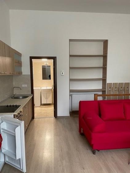 CHIRIE ap.1 camera, amenajat, mobilat, utilat la 10 minute de UMF - 8