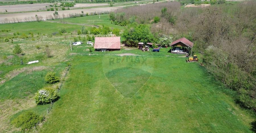 Domeniu - 66 Hectare - Teren deosebit Copsa Mica cu desch... - 10