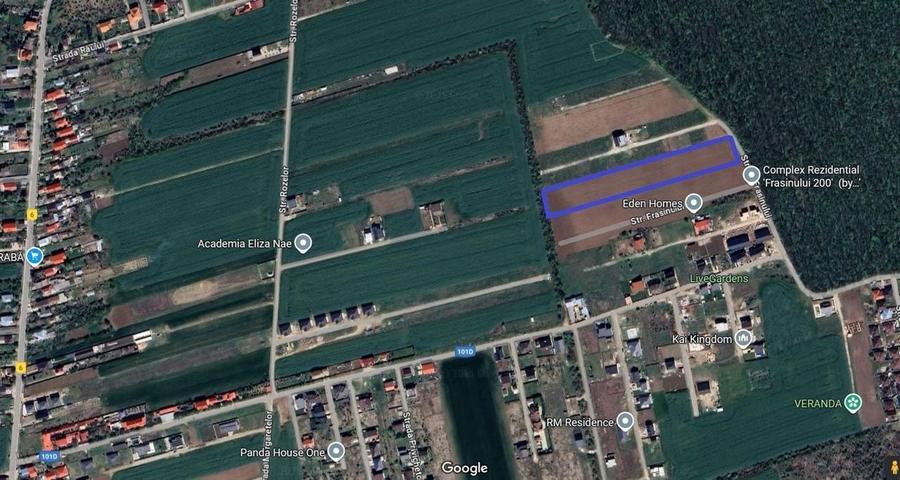 Balotesti- Dumbraveni- Padure - 3