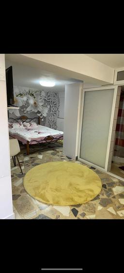 Inchiriez garsoniera la curte - 4