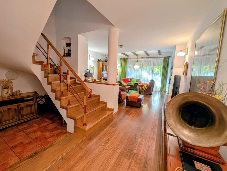 Jiului-Coralilor-Damaroaia,eleganta,robusta,garaj,curte intima,vegetatie matura - 11