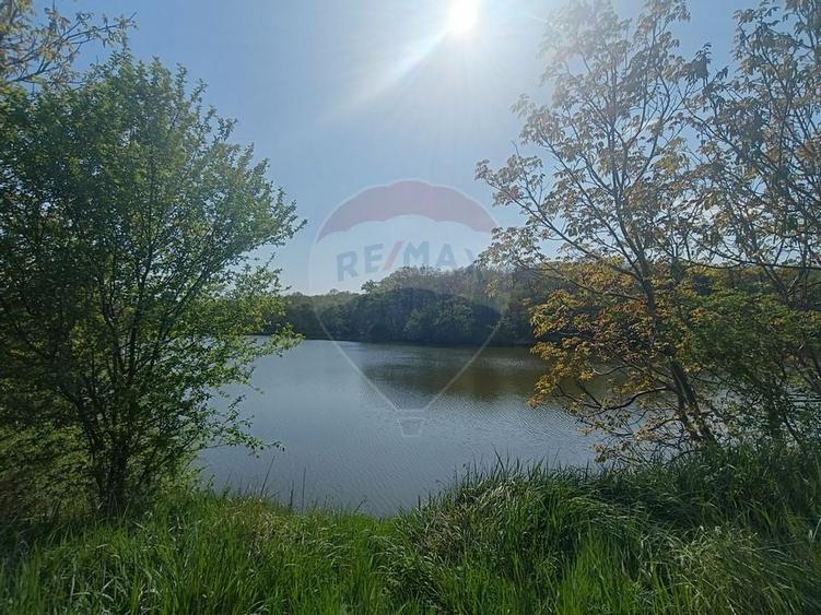 Vanzare Teren Constructii Langa Lac si Padure | Branesti | Ocazie! - 2