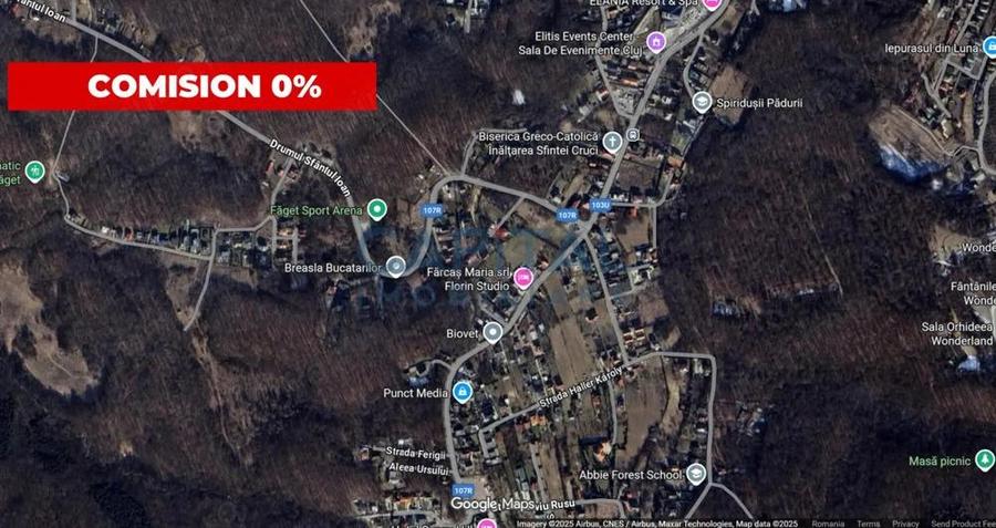 Teren de vanzare in Faget 800 mp, front stradal generos de 19 m - 1