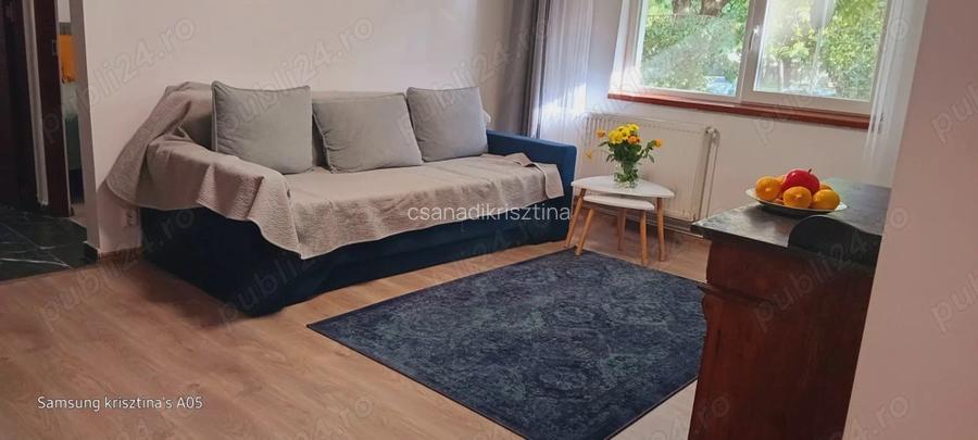 Apartament fantastic cu 2 camere cu vedere la parc de inchiriat!