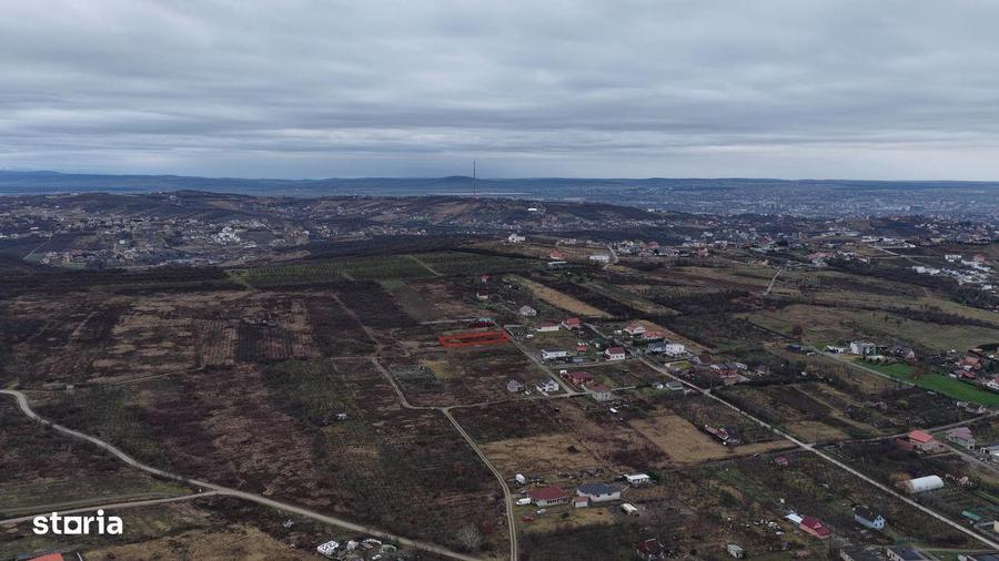 Teren Intravilan, Nicolae Beldiceanu - 5