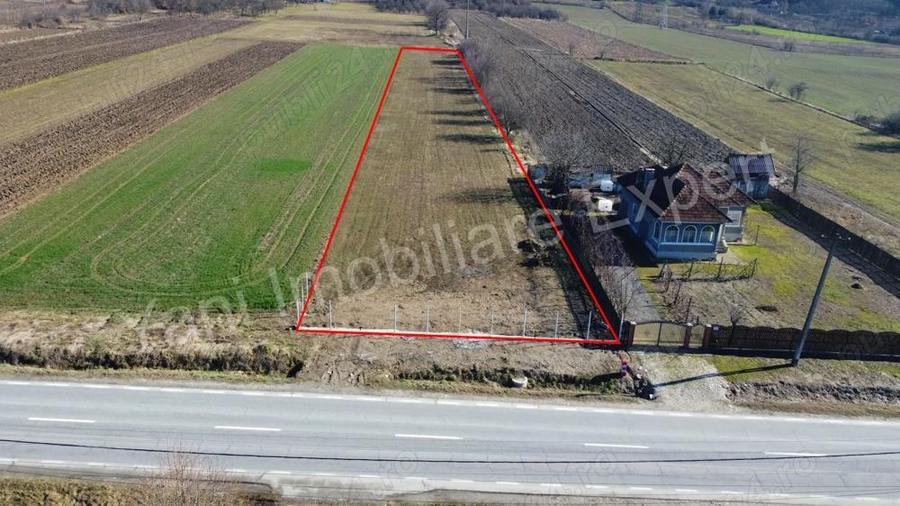 Teren de vanzare in comuna Baicule?ti, jude? Arge?. - 6