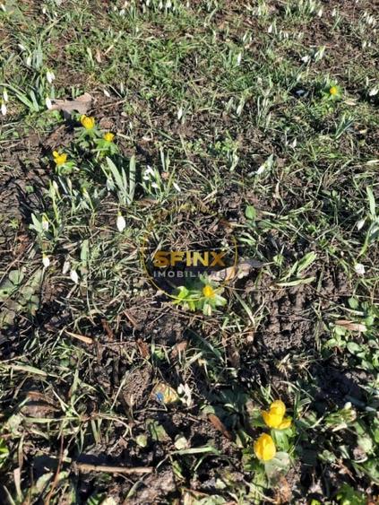 Parc Cismigiu, vanzare apartament 4 camere in vila interbelica - 19