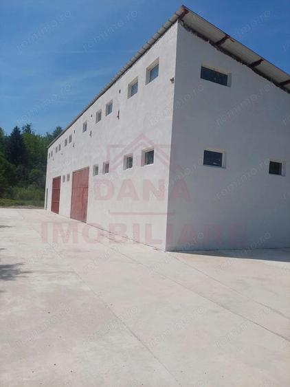 HALA DE VANZARE SAU INCHIRIERE, IN LOC.. BAU?AR, JUD. CARA?-SEVERIN - 7