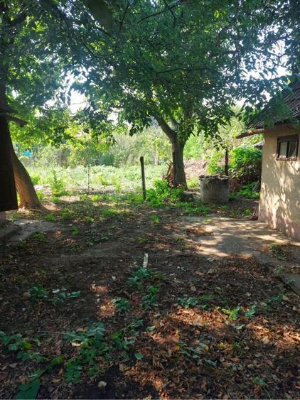 casa de vanzare in Arad - 4