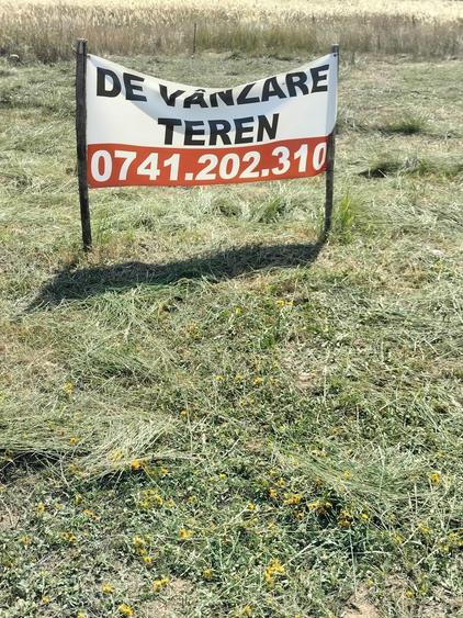 Vand teren in comuna Albota - 5