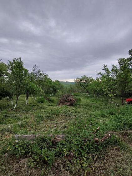 Vand casa cu gradina - 4