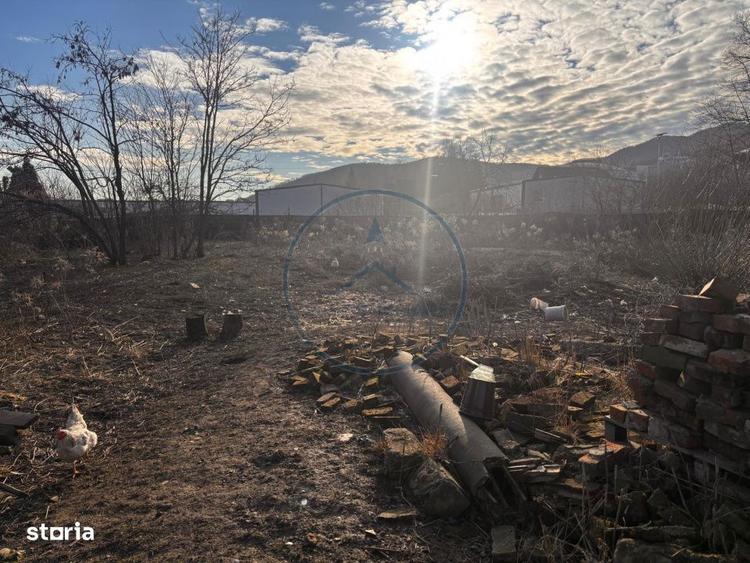 Teren + Cladire in Viisoara - 4