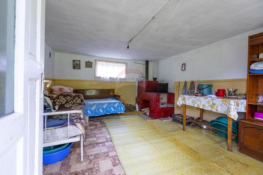 Ferma de vanzare, teren 21436 mp intravilan, Cosnea, Agas - 20