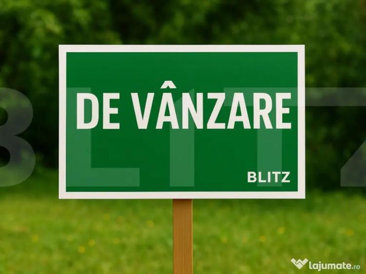 Teren extravilan 25.000 mp in apropiere de Popas Cucorani - 1