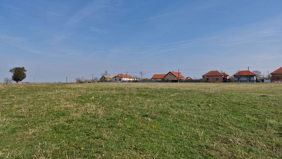 8433 mp Teren intravilan pentru constructii - 6