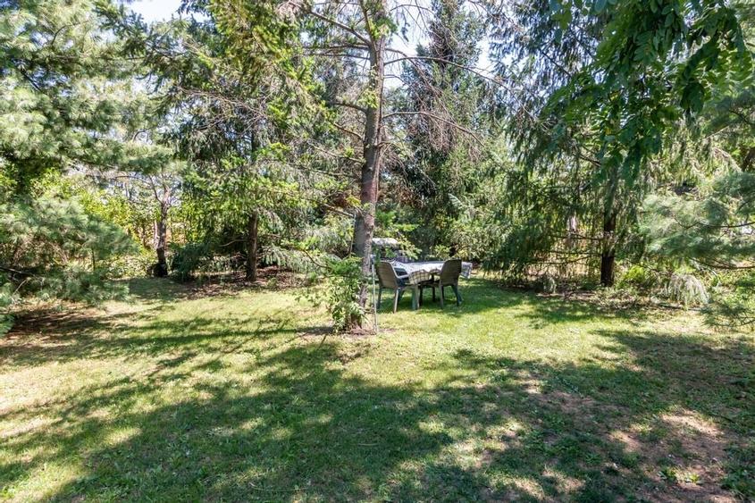 Casa+Laborator+ Teren 12.700 mp + casa de vacanta - Bolintin Vale - 24