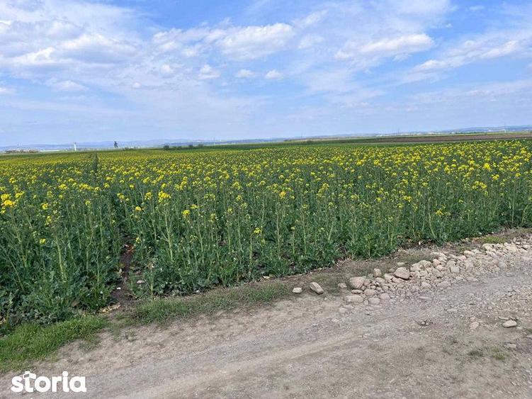 Teren de 3700 mp, în Călărași