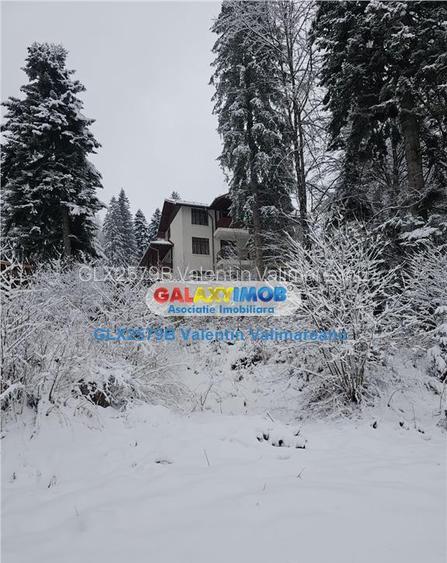 Pensiune Predeal VI 084