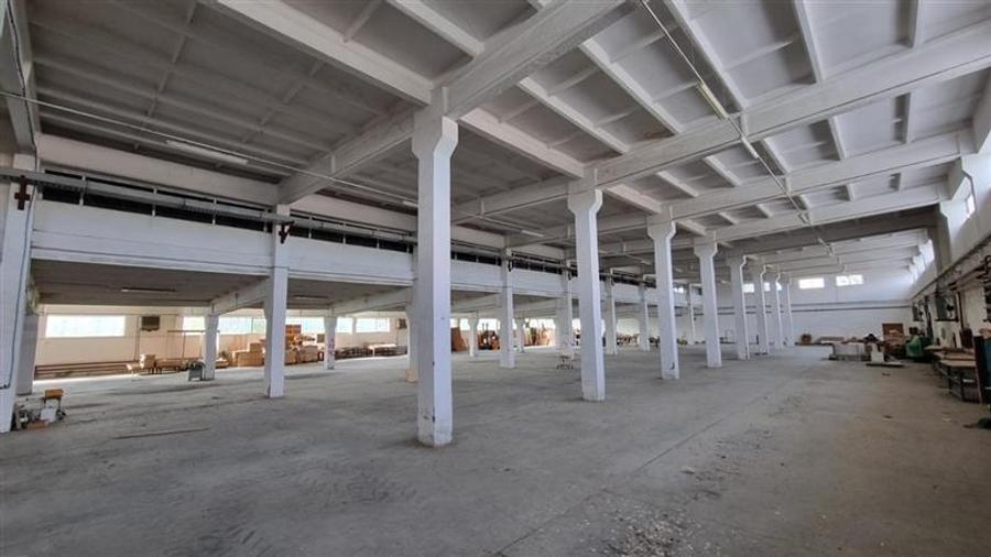 Hala industriala de vanzare in Harlau, 11.500 mp utili, teren 44.268 mp - 1