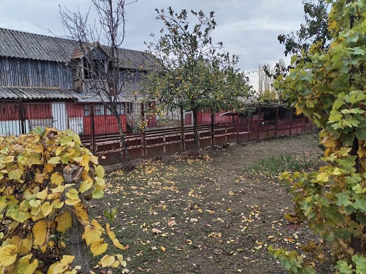 Casa cu teren -  central Segarcea - 13