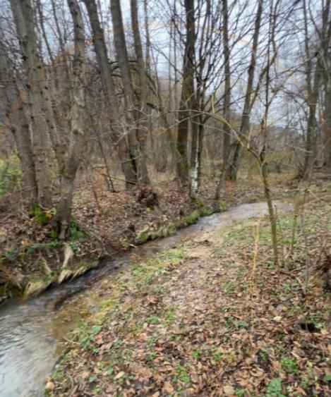 Teren intravilan 6.500 m2Deschidere 144 ml drum european - 4