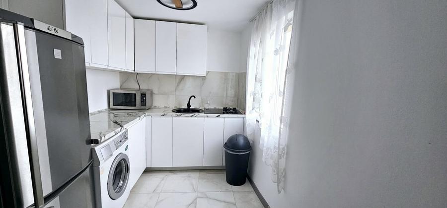 Penthouse de inchiriat-Marasti(Cinema Marasti) - 9