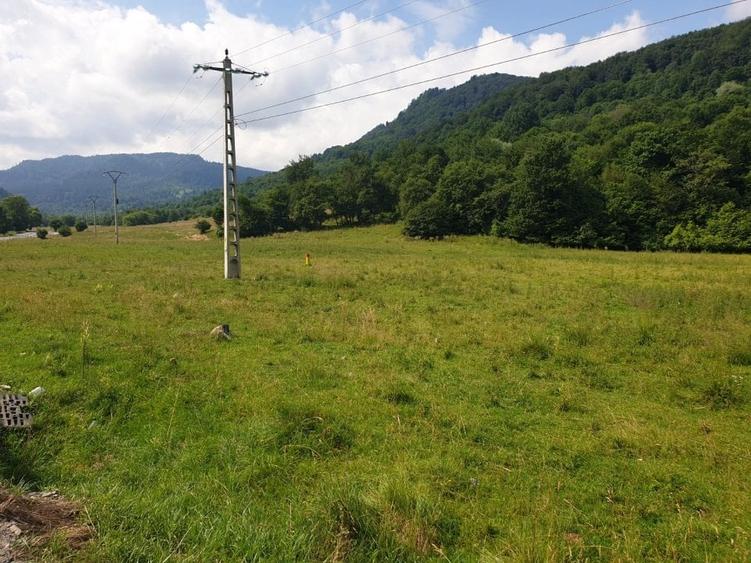 Oportunitate! -teren în zona  Pârâul Rece, Brașov - 2