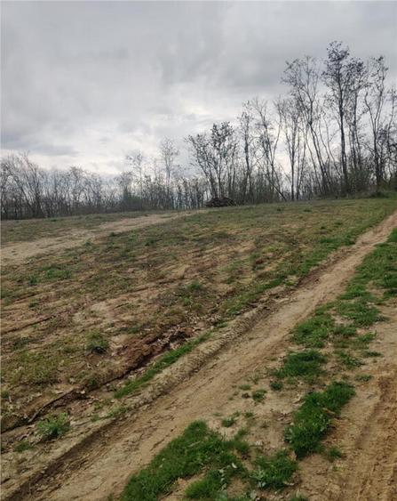 RECO . TEREN INTRAVILAN PALEU - 5