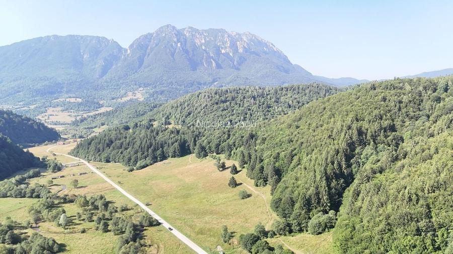 2 Loturi aprox.2200mp 25EUR/(total 6696mp) Barsa Fierului / Plaiul Foii