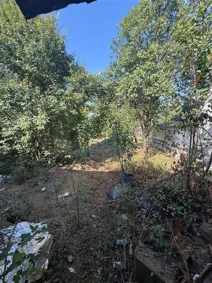 RECO . Casa in Saliste de Vascau . - 10