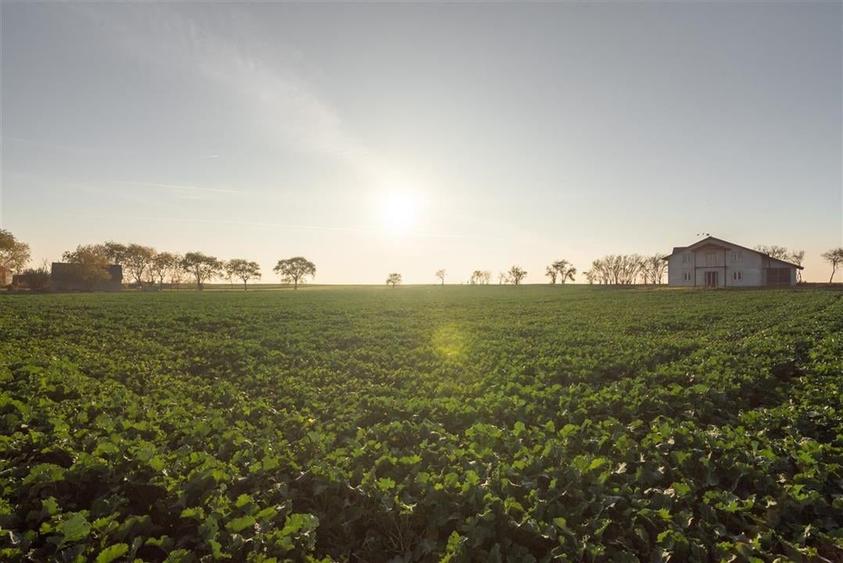 RECO casa Inand la rosu cu teren imens - 32