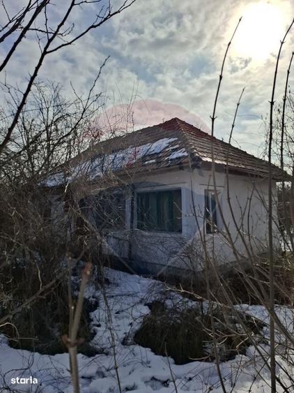 Casa cu teren 2.596 mp | Deschidere la drum asfaltat | Dridu, Ialomi?a - 1