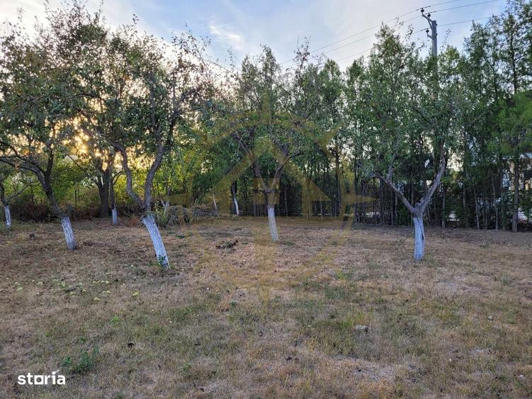 Dom00438 - de vanzare teren intravilan 1000 mp. corbeanca - 9