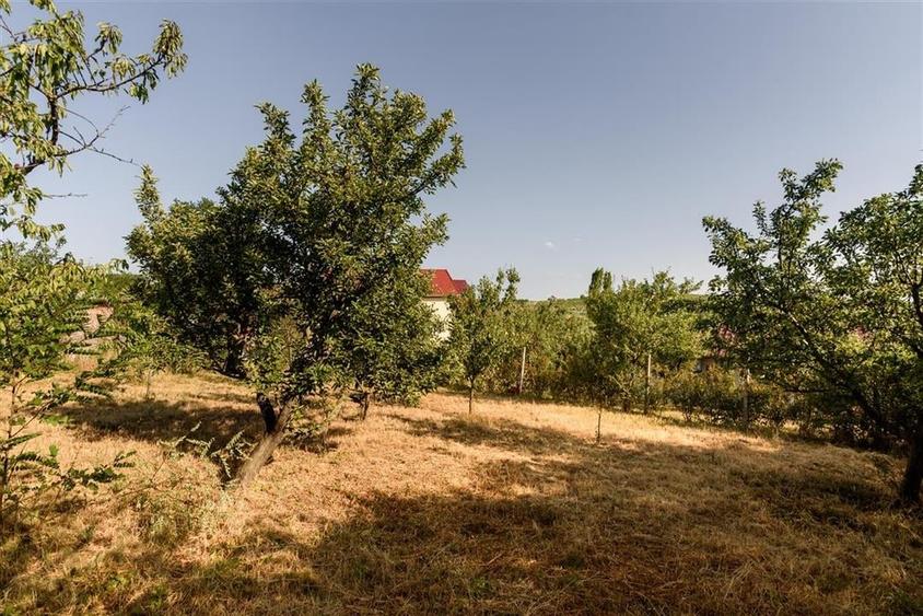 RECO Casa cu priveliste - 11