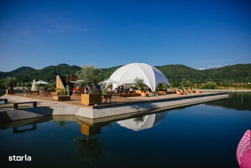 Teren intravilan 40.100mp, infrastructura complexa, Busag - 9