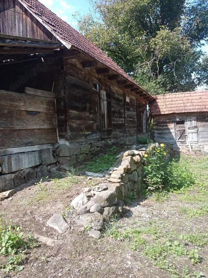 Casa satRostoci com. Plescuta jus. Arad - 8