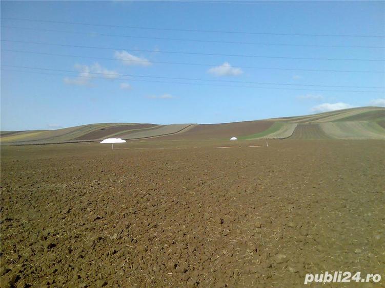 vand teren intravilan 3935 mp, nord - est in sat NAZNA - 8